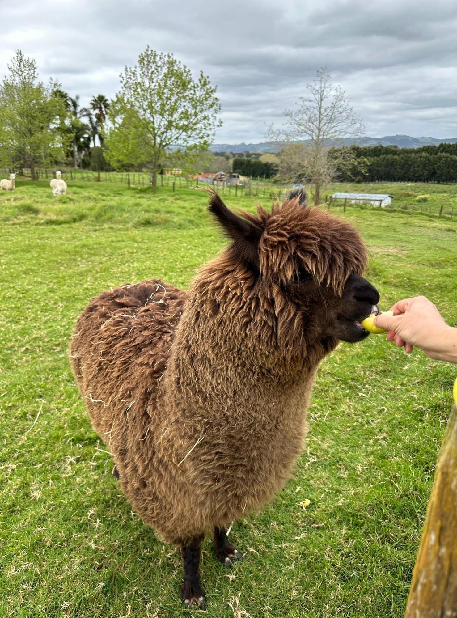 柏克罗夫特住宿加早餐旅馆 Karaka 外观 照片
